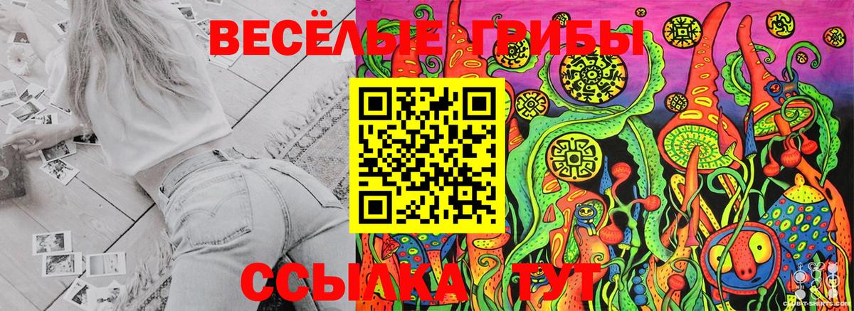 Галлюциногенные грибы Magic Shrooms Гусь-Хрустальный