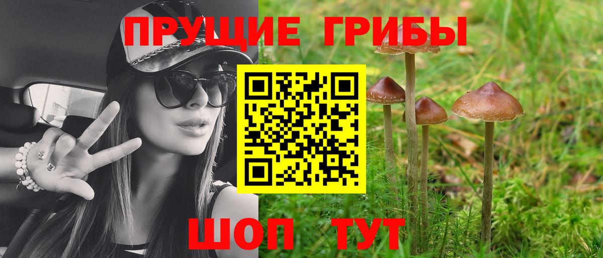 купить закладку  Вход с VPN  Гусь-Хрустальный  Псилоцибиновые грибы Psilocybine cubensis 